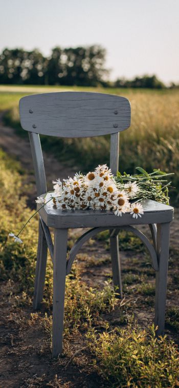 chair with daisies Wallpaper 1125x2436