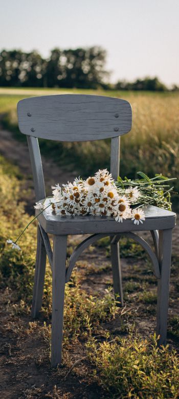 chair with daisies Wallpaper 1440x3200