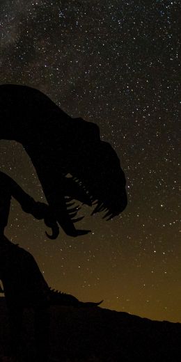 dinosaur, starry sky Wallpaper 720x1440