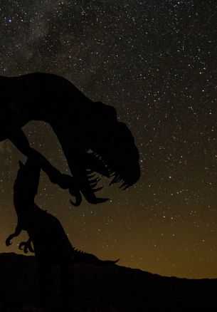 dinosaur, starry sky Wallpaper 1640x2360