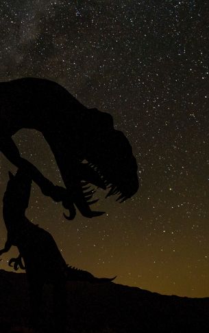 dinosaur, starry sky Wallpaper 1752x2800