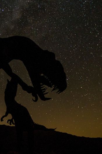 dinosaur, starry sky Wallpaper 640x960