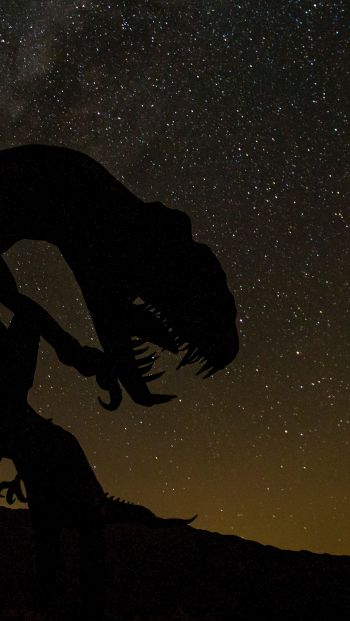 dinosaur, starry sky Wallpaper 640x1136