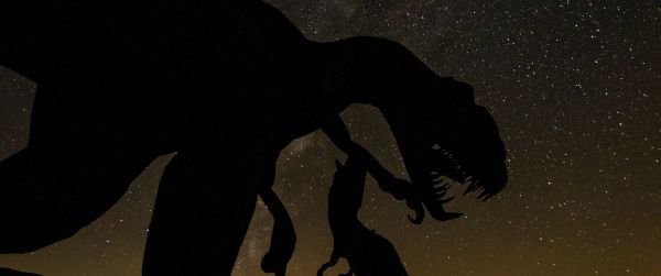 dinosaur, starry sky Wallpaper 3440x1440