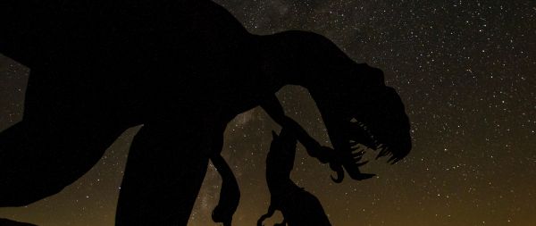 dinosaur, starry sky Wallpaper 2560x1080