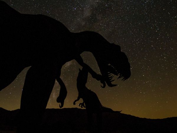 dinosaur, starry sky Wallpaper 800x600