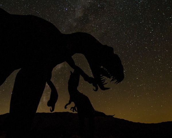 dinosaur, starry sky Wallpaper 1280x1024