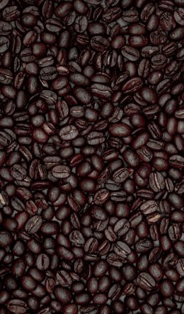 coffee beans Wallpaper 600x1024