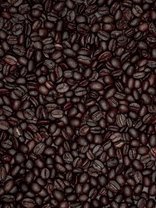 coffee beans Wallpaper 3888x5184
