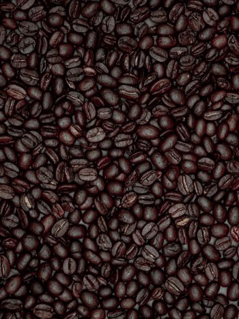 coffee beans Wallpaper 1668x2224