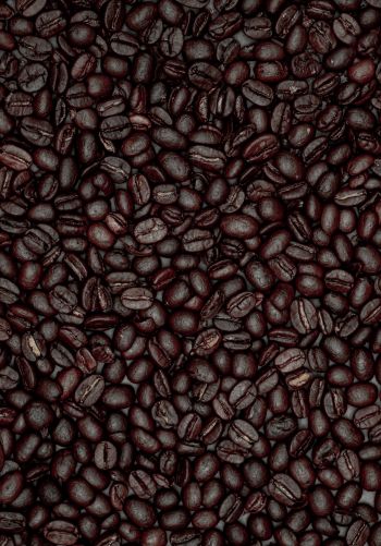 coffee beans Wallpaper 1668x2388
