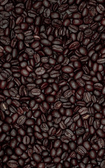 coffee beans Wallpaper 1752x2800