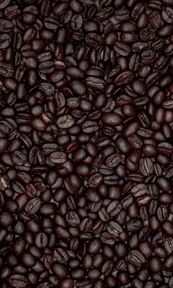 coffee beans Wallpaper 1200x2000