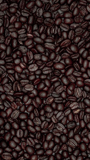coffee beans Wallpaper 750x1334