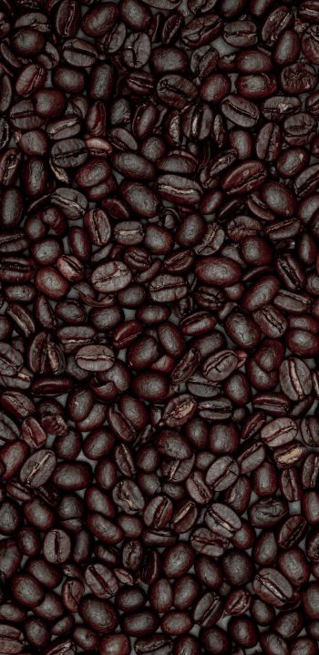 coffee beans Wallpaper 1080x2220