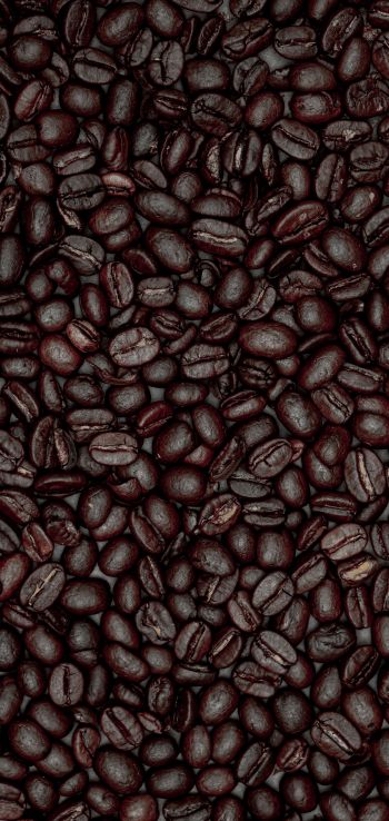 coffee beans Wallpaper 1080x2280