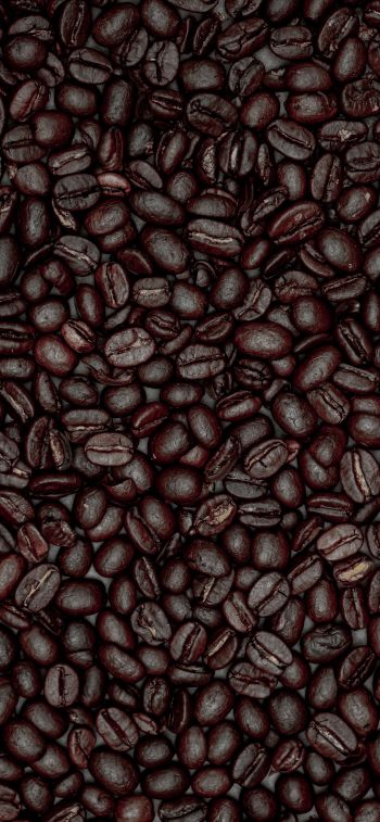 coffee beans Wallpaper 1284x2778