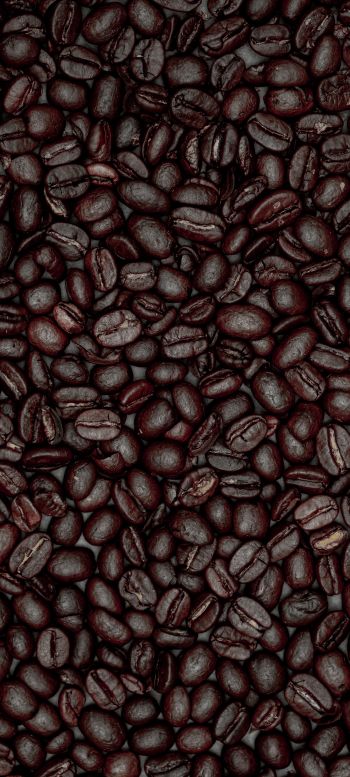 coffee beans Wallpaper 1440x3200