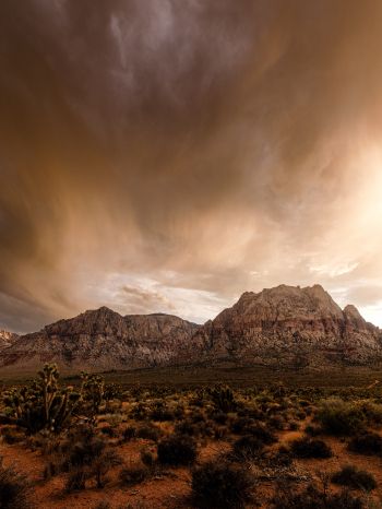 Red Rock Canyon, Nevada, USA Wallpaper 1668x2224