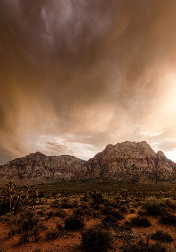 Red Rock Canyon, Nevada, USA Wallpaper 1668x2388
