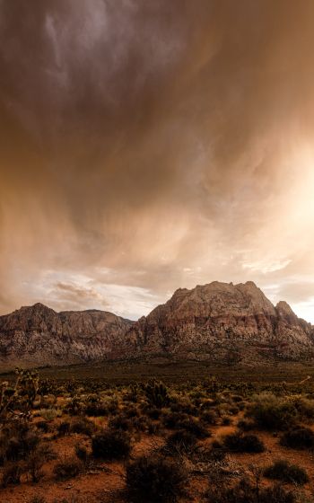 Red Rock Canyon, Nevada, USA Wallpaper 800x1280