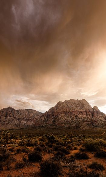 Red Rock Canyon, Nevada, USA Wallpaper 1200x2000