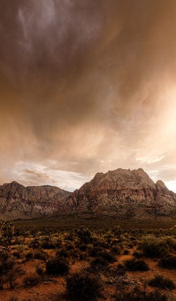 Red Rock Canyon, Nevada, USA Wallpaper 600x1024