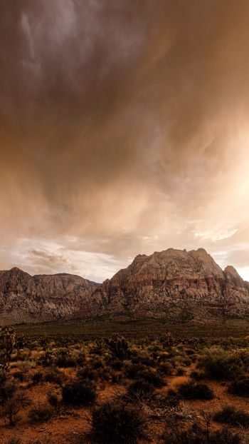 Red Rock Canyon, Nevada, USA Wallpaper 1440x2560