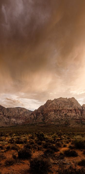 Red Rock Canyon, Nevada, USA Wallpaper 1440x2960