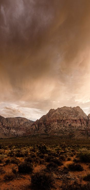 Red Rock Canyon, Nevada, USA Wallpaper 1440x3040