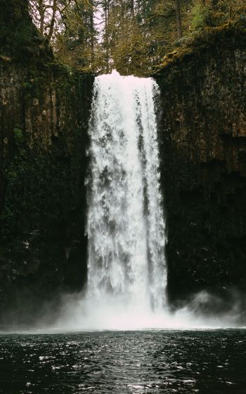 Abiqua Falls, Oregon, USA Wallpaper 1752x2800