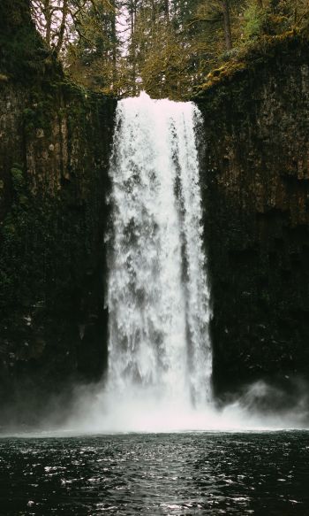 Abiqua Falls, Oregon, USA Wallpaper 1200x2000