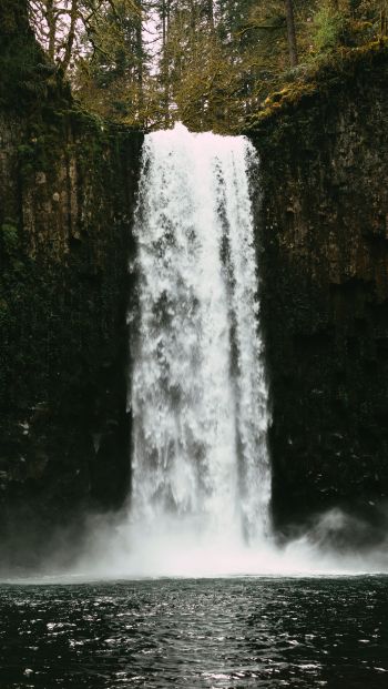 Abiqua Falls, Oregon, USA Wallpaper 640x1136