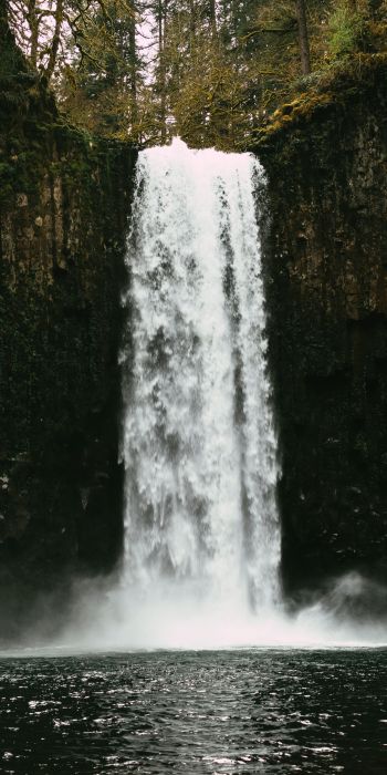 Abiqua Falls, Oregon, USA Wallpaper 720x1440