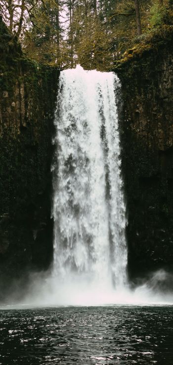 Abiqua Falls, Oregon, USA Wallpaper 1080x2280