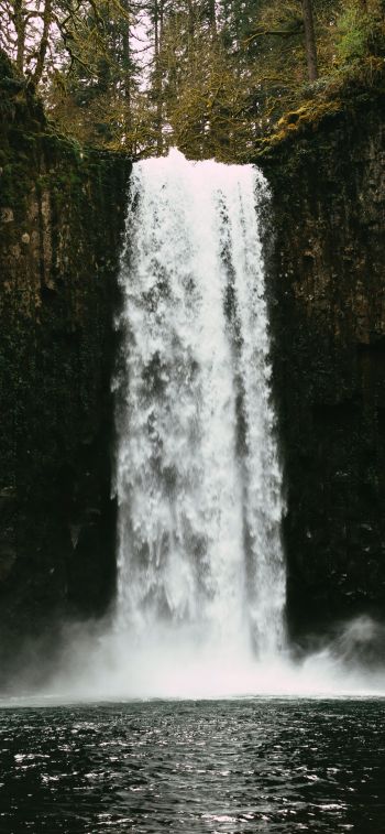 Abiqua Falls, Oregon, USA Wallpaper 1170x2532