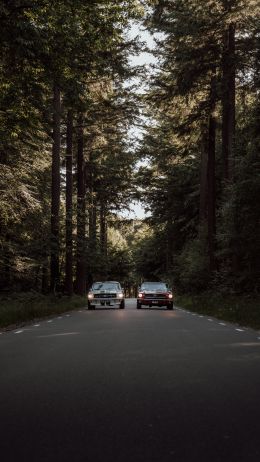 cars in the forest Wallpaper 2160x3840