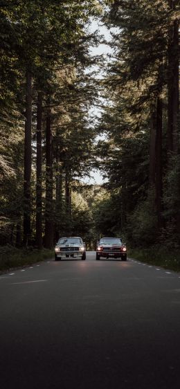 Обои 1125x2436 машины в лесу