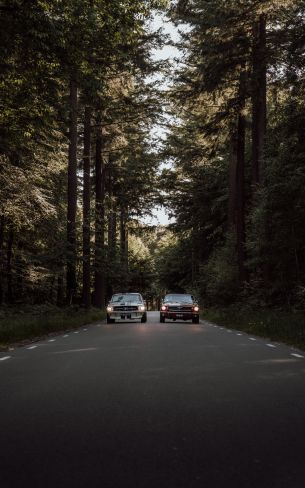cars in the forest Wallpaper 800x1280