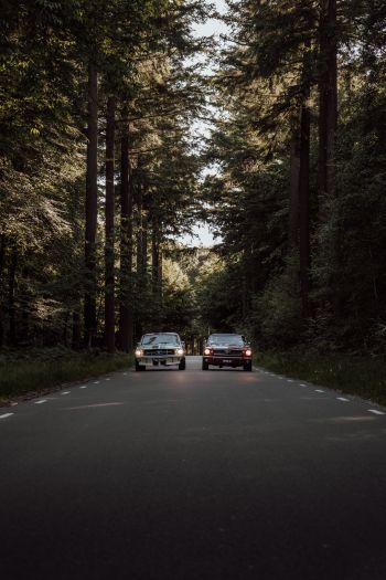 cars in the forest Wallpaper 640x960