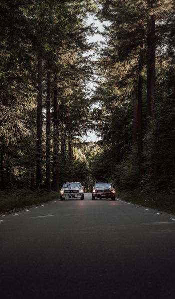 cars in the forest Wallpaper 600x1024
