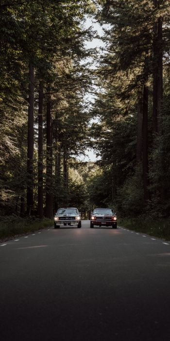cars in the forest Wallpaper 720x1440