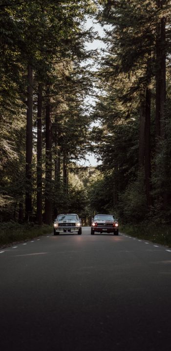 Обои 1440x2960 машины в лесу