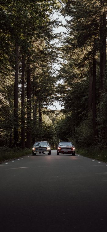 Обои 828x1792 машины в лесу