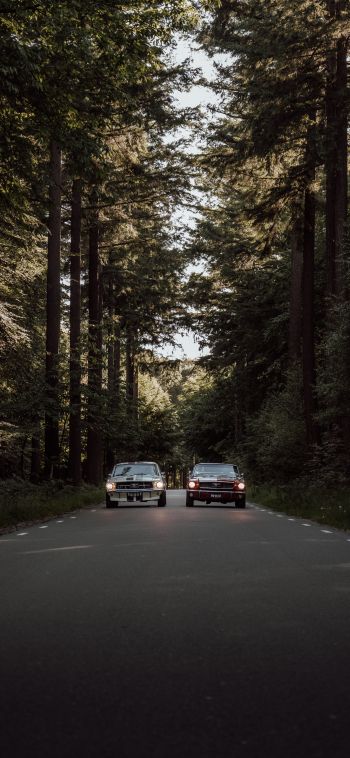 cars in the forest Wallpaper 1080x2340