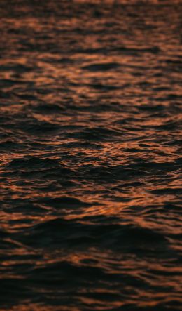 sea, sunset Wallpaper 600x1024