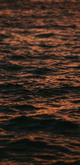 sea, sunset Wallpaper 1080x2220