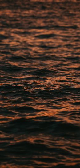 sea, sunset Wallpaper 1080x2280