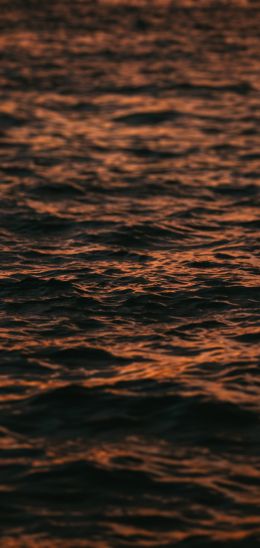 sea, sunset Wallpaper 1440x3040