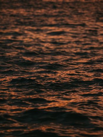 sea, sunset Wallpaper 1620x2160